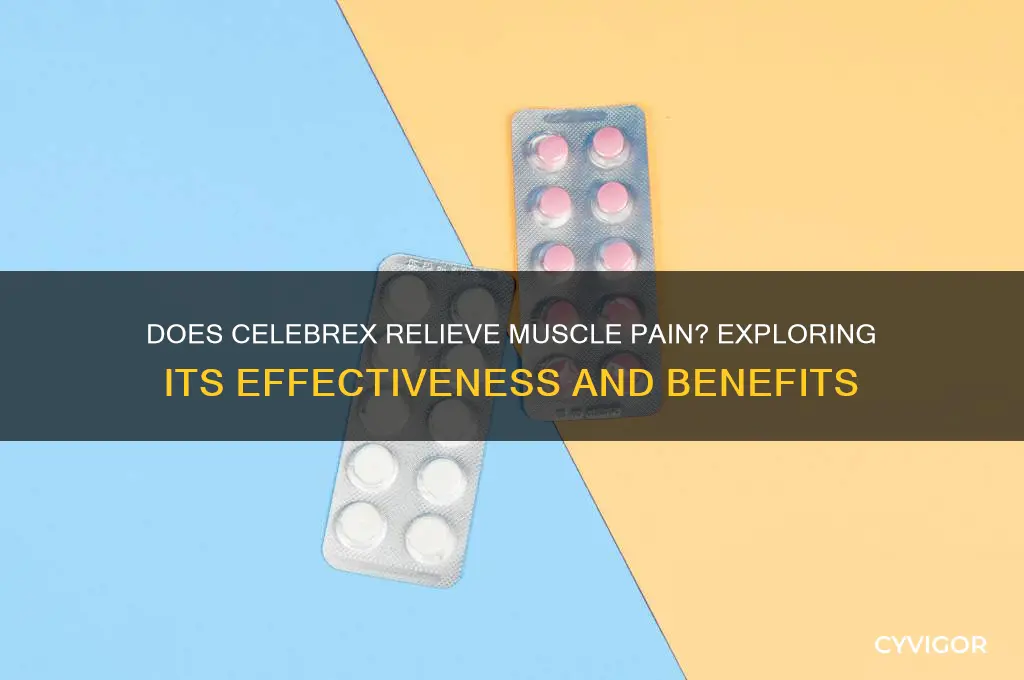 does celebrex relieve muscle pain