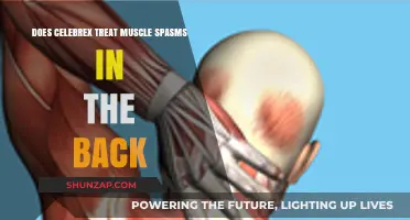 Relieving Back Muscle Spasms: Does Celebrex Offer Effective Treatment?
