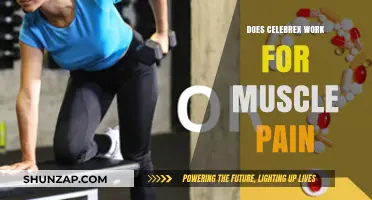 Does Celebrex Effectively Relieve Muscle Pain? A Comprehensive Review