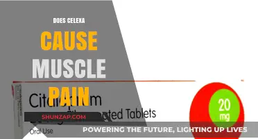 Muscle Pain and Celexa: What's the Link?