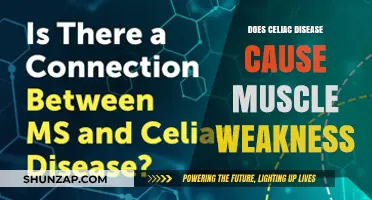 Celiac Disease: Muscle Weakness and Fatigue Explained