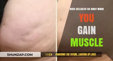 Can Building Muscle Reduce Cellulite? The Truth Revealed