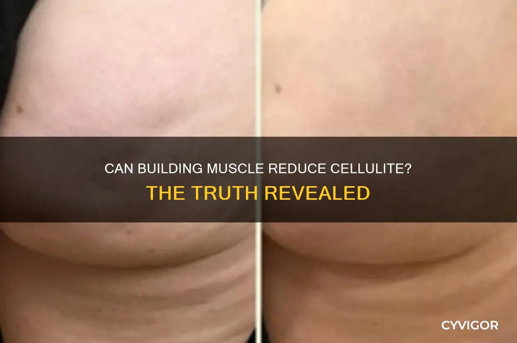 does cellulite go away when you gain muscle
