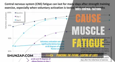 Central Factors: Unlocking the Mystery of Muscle Fatigue