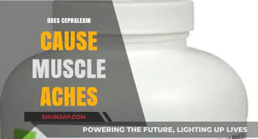Can Cephalexin Cause Muscle Aches?