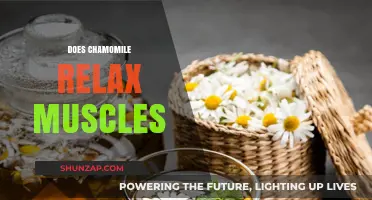 Chamomile's Muscle Relaxing Powers: Unwinding Tension Naturally