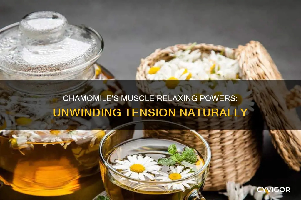 does chamomile relax muscles