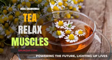 Chamomile Tea's Muscle Relaxing Benefits: Fact or Fiction?