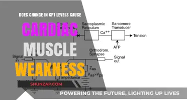 Cardiac Muscle Weakness: Understanding the CP1 Connection