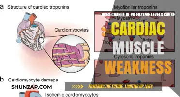 Enzyme Levels and Cardiac Muscle Weakness: Is There a Link?