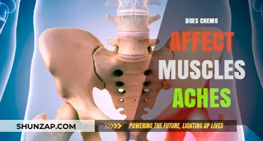 Understanding Chemotherapy's Impact on Muscle Health: A Comprehensive Guide