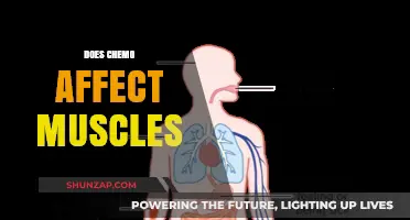 Understanding Chemotherapy's Impact on Muscle Health and Function