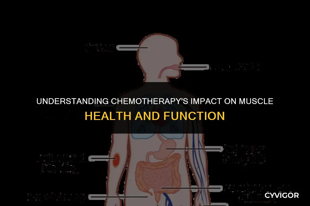 does chemo affect muscles