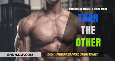 Chest Muscle Growth: Does It Outpace Other Muscle Groups?