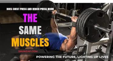 Chest Press vs. Bench Press: Targeting the Same Muscles?