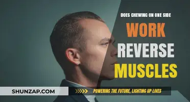 Chewing on One Side: Does It Reverse Muscle Function?
