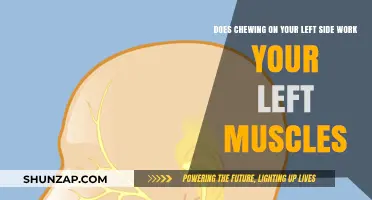 Chewing on the Left Side: Does It Really Work Your Muscles?