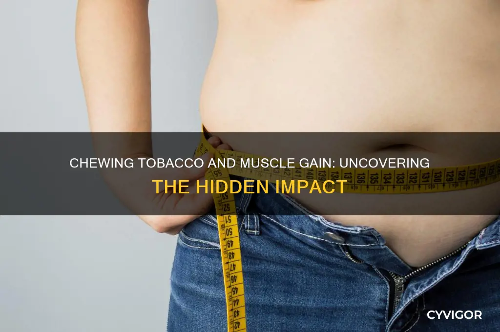 does chewing tobacco affect muscle gain