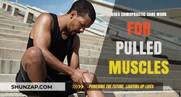 Chiropractic Care for Pulled Muscles: Effective Treatment or Myth?