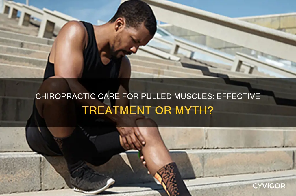 does chiropractic care work for pulled muscles