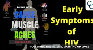 Chlamydia and Muscle Aches: What's the Link?