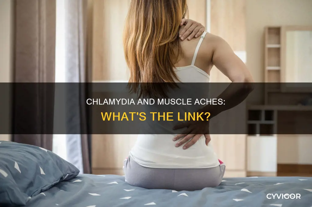 does chlamydia cause muscle aches