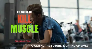Chocolate and Muscle Gain: Friends or Foes?