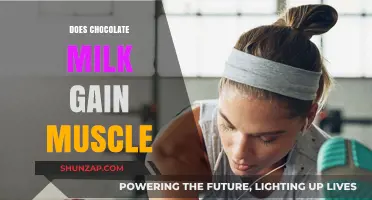Chocolate Milk for Muscle Gain: Fact or Fiction?