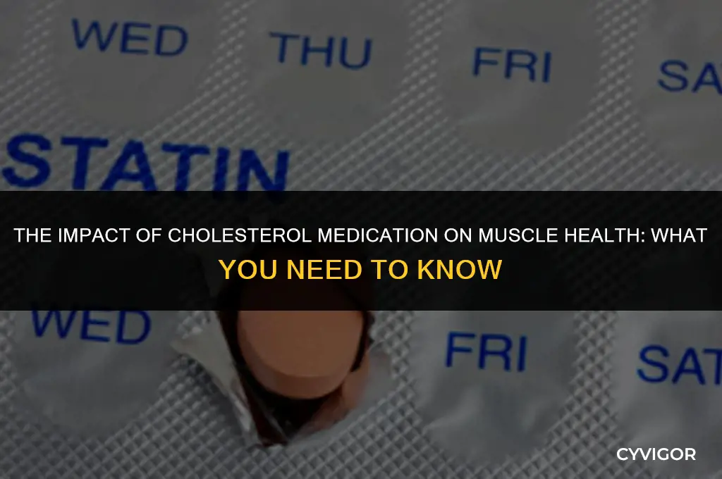 does cholesterol medication affect muscles