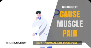 Cholestoff: Understanding Muscle Pain as a Side Effect