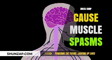CIDP and Muscle Spasms: What's the Link?