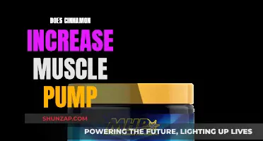 Cinnamon Supercharges Muscle Pump: Fact or Fiction?