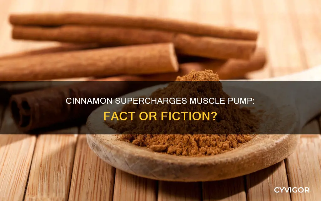 does cinnamon increase muscle pump