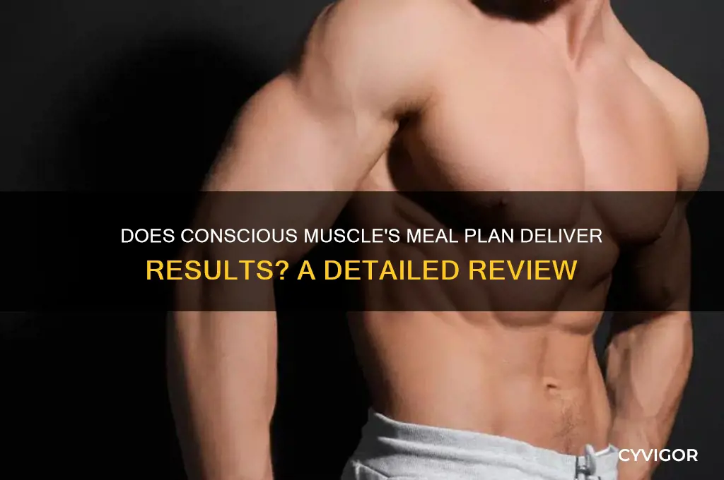 does cinscious muscle