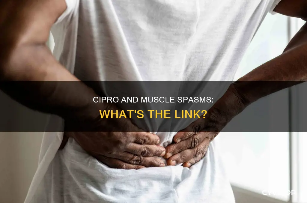 does cipro cause muscle spasms