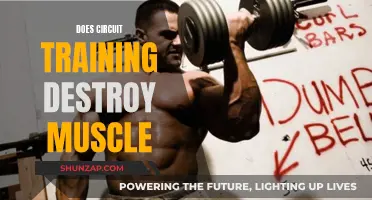 Circuit Training: Muscle Friend or Foe?