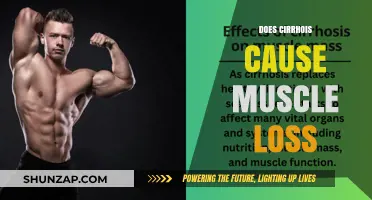 Cirrhosis and Muscle Loss: What's the Link?