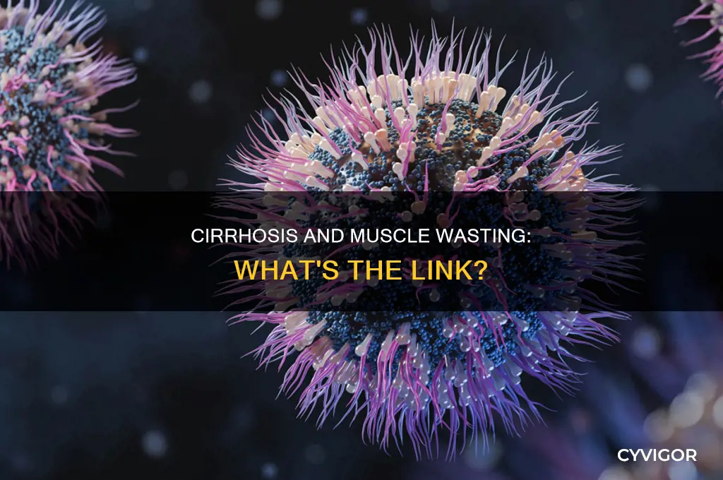 does cirrhosis cause muscle wasting