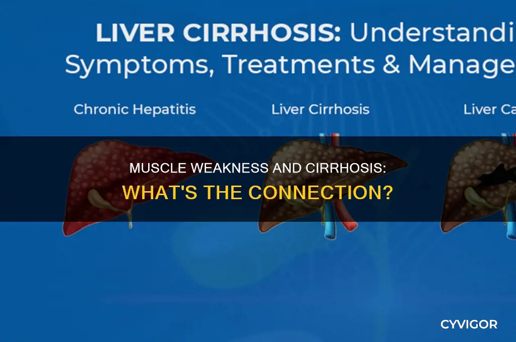 does cirrhosis cause muscle weakness