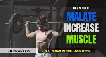 Citrulline Malate: Building Muscle, Increasing Strength and Performance