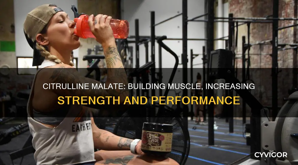 does citrulline malate increase muscle