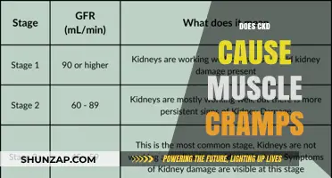 How CKD Causes Muscle Cramps and What to Do