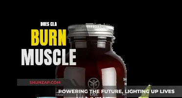 CLA and Muscle Burning: What's the Truth?