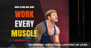 Does Clean and Jerk Work Every Muscle? A Full-Body Analysis