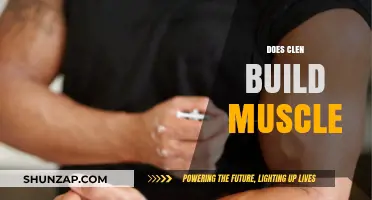 Unlocking the Truth: Can Clenbuterol Really Build Muscle?
