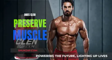 Clen's Muscle-Preserving Powers: Fact or Fiction?