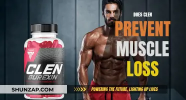 Clen: Effective Muscle Loss Preventer or Myth?
