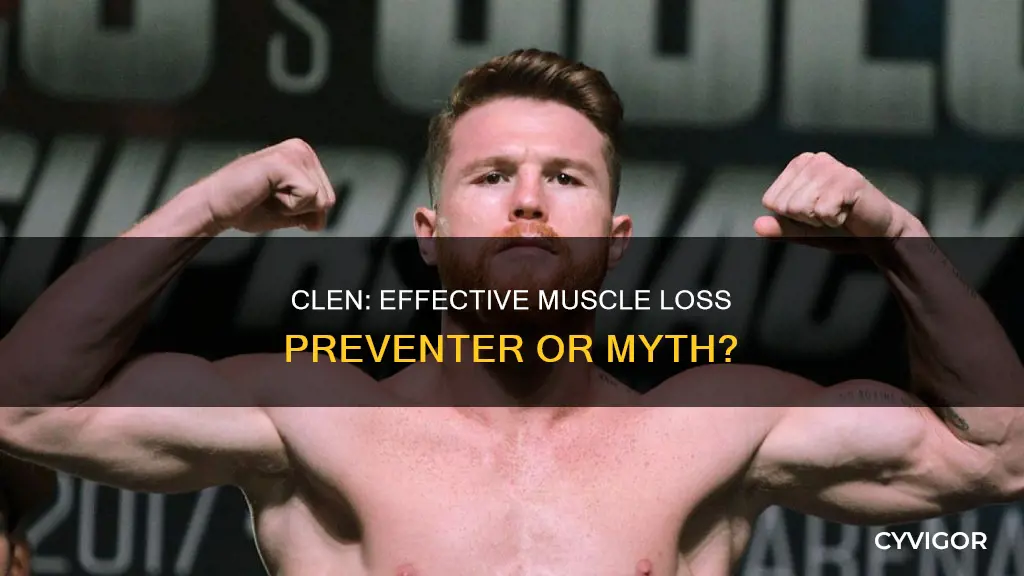 does clen prevent muscle loss