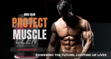 Clen's Muscle-Protecting Powers: Fact or Fiction?