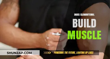 Unlocking the Truth: Clenbuterol's Role in Muscle Building Revealed